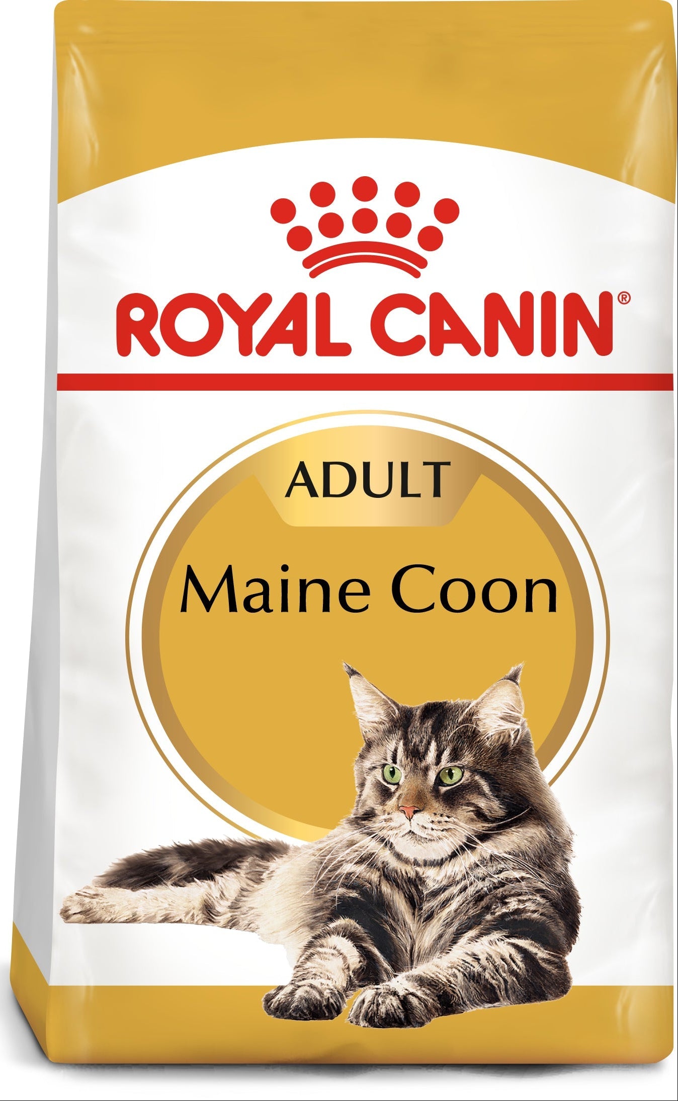 Royal Canin Maine Coon Adult Dry Cat Food