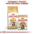 Load image into Gallery viewer, Royal Canin Maine Coon Adult Dry Cat Food
