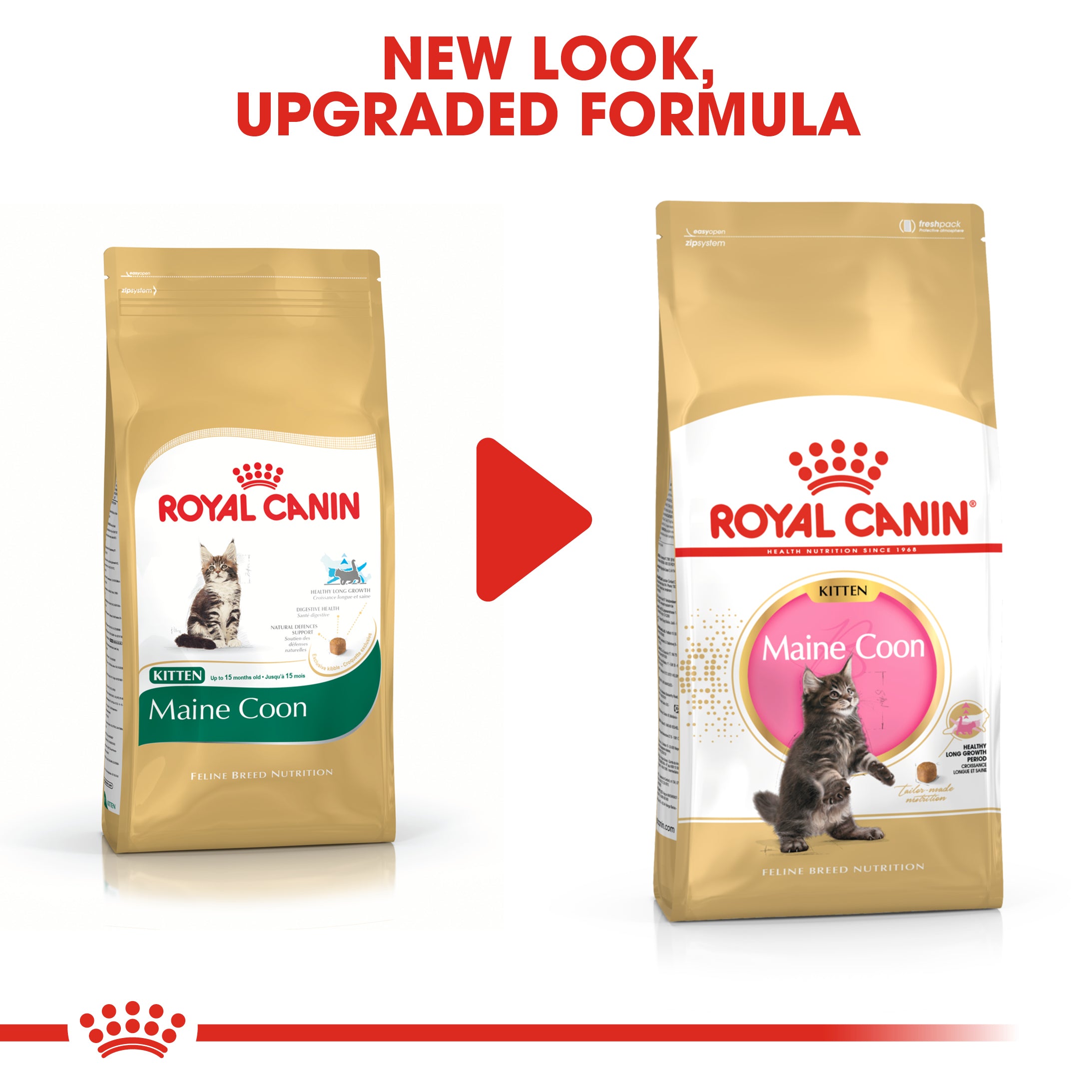 Royal Canin Coon Kitten Dry Food