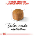 Load image into Gallery viewer, Royal Canin Coon Kitten Dry Food
