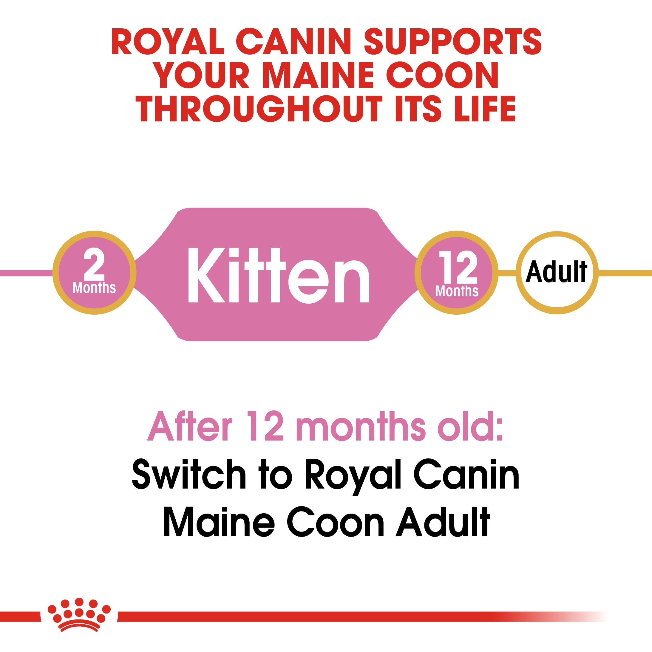 Royal Canin Coon Kitten Dry Food