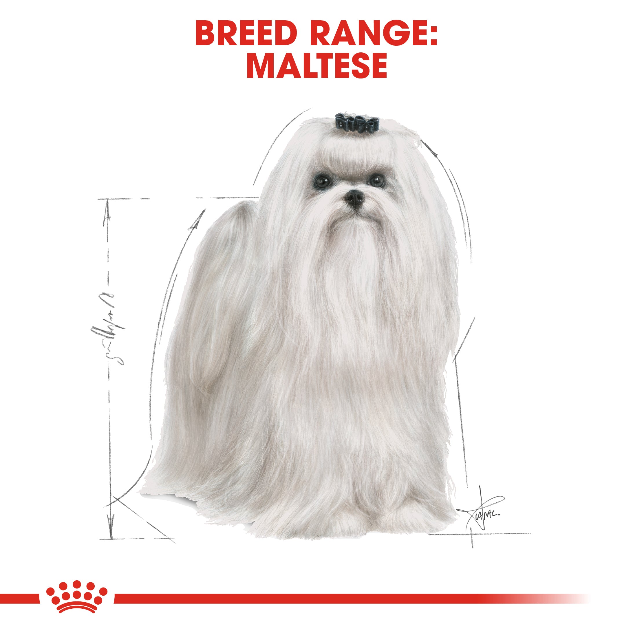 Royal Canin Maltese Adult Dry Dog Food