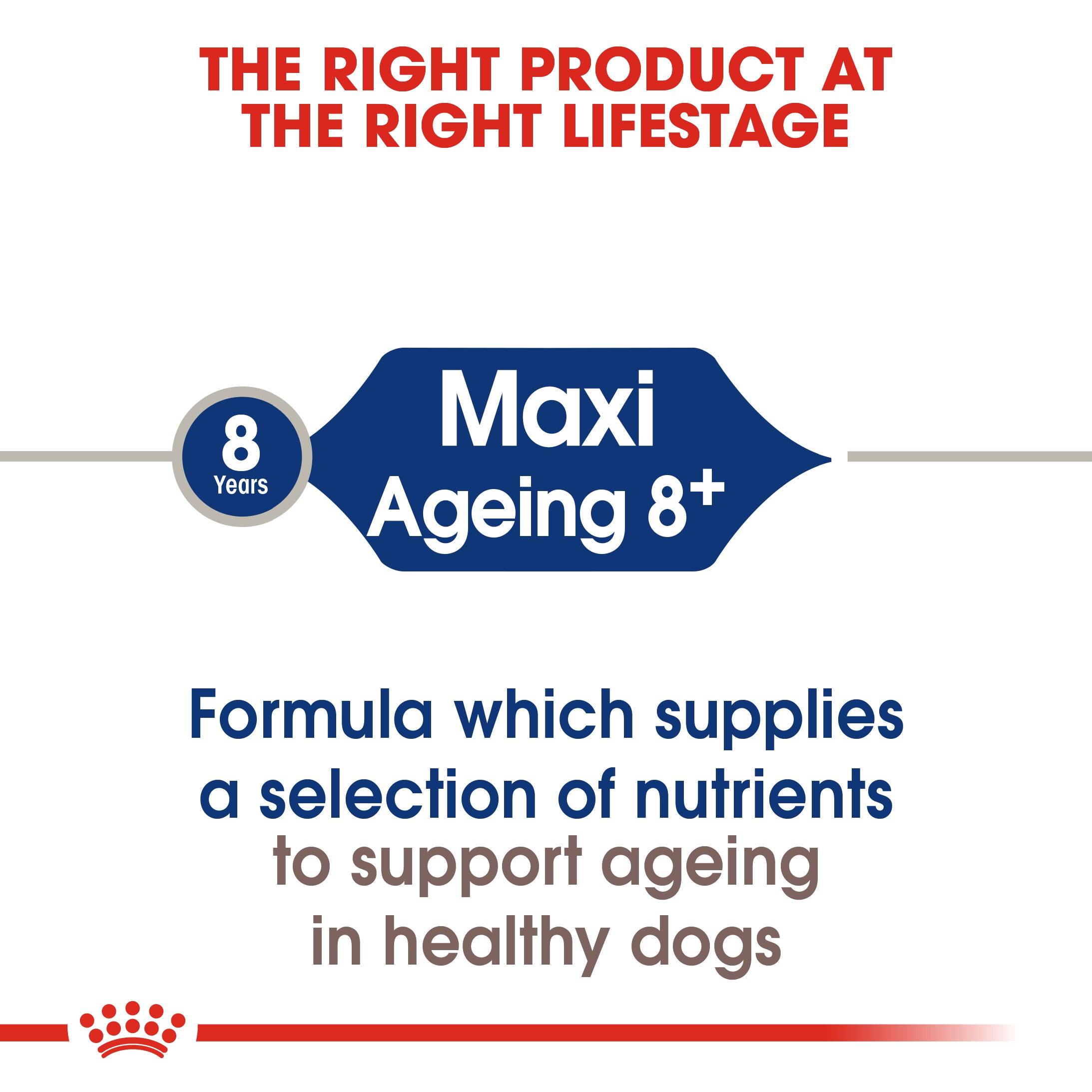 Royal Canin Maxi Ageing 8+ Dry Dog Food