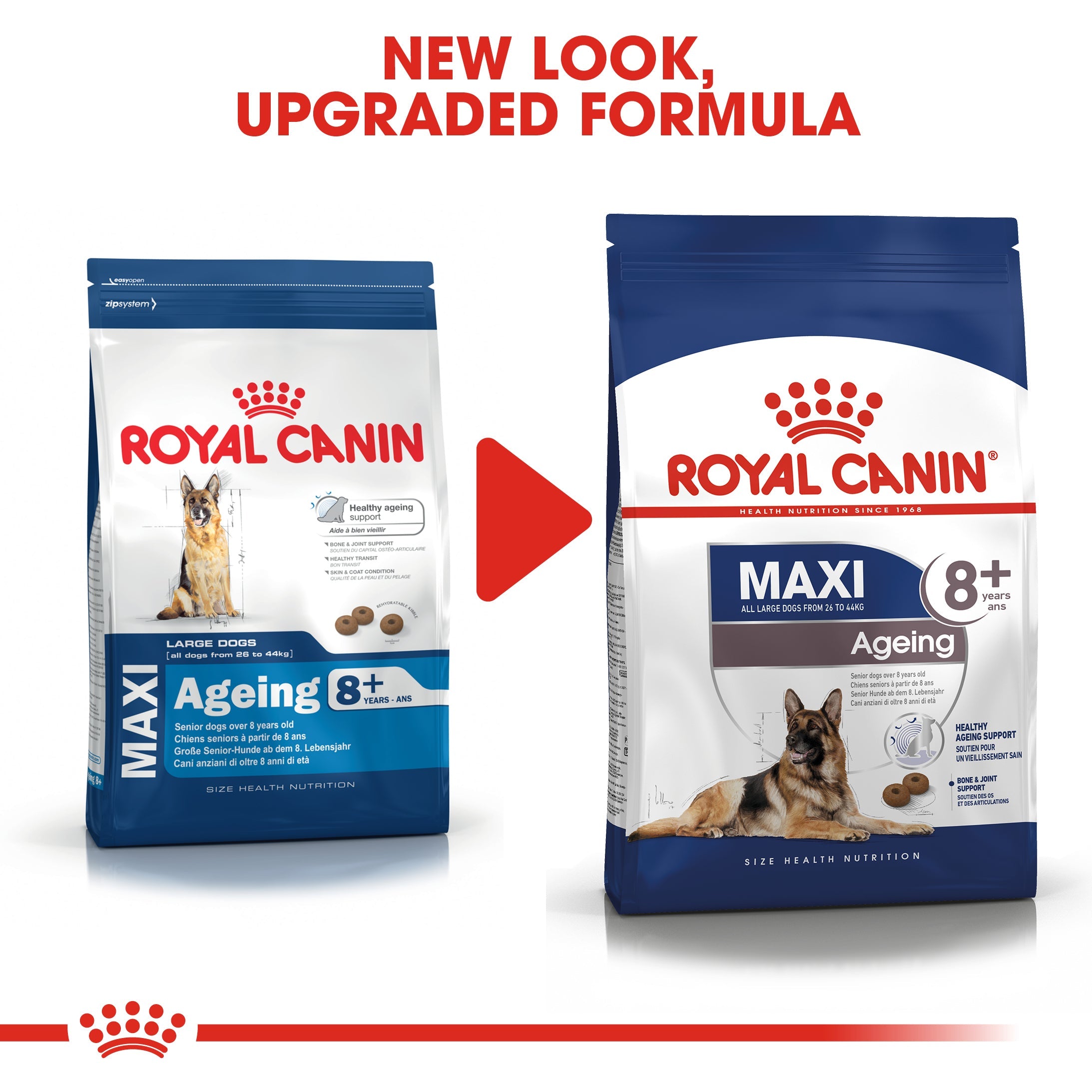 Royal Canin Maxi Ageing 8+ Dry Dog Food