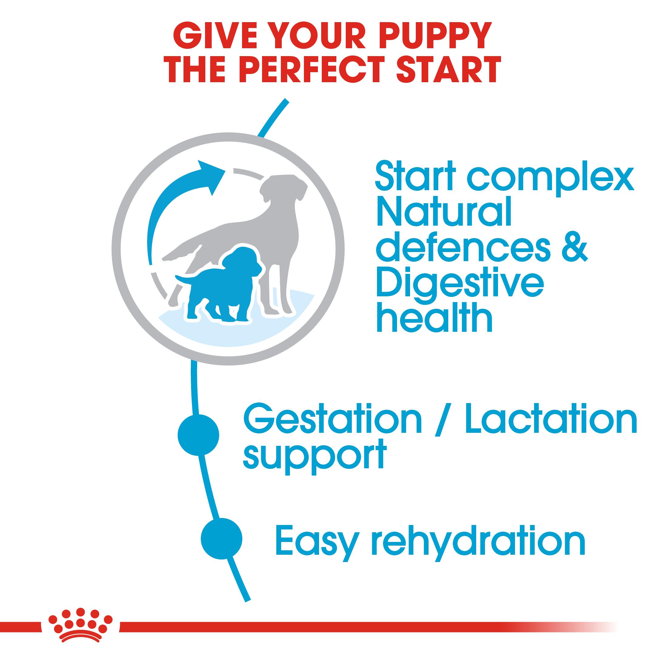 Royal Canin Medium Starter Mother & Babydog Adult and Puppy Dry Food