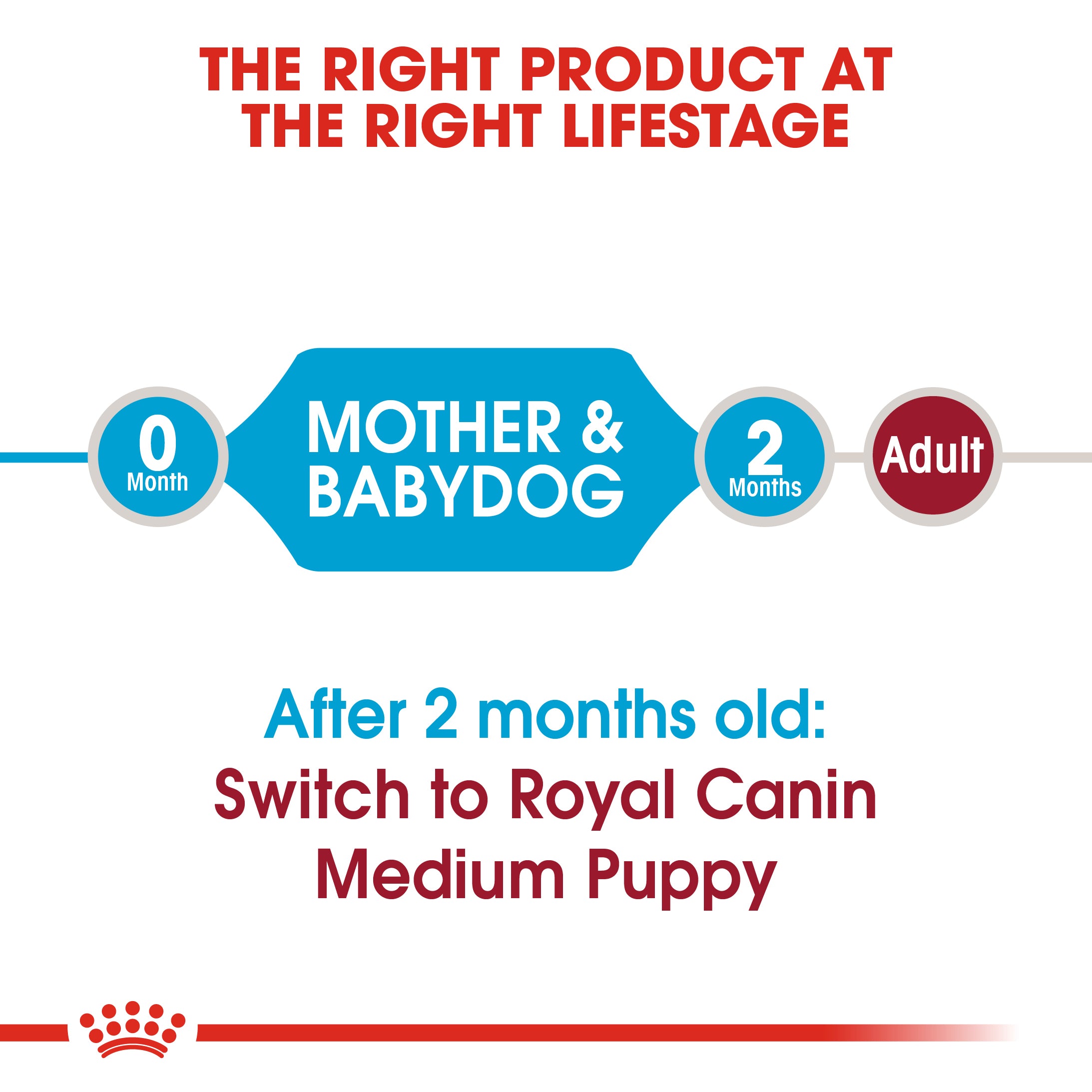 Royal Canin Medium Starter Mother & Babydog Adult and Puppy Dry Food