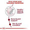 Load image into Gallery viewer, Royal Canin Medium Ageing 10+
