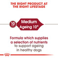 Load image into Gallery viewer, Royal Canin Medium Ageing 10+
