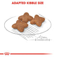 Load image into Gallery viewer, Royal Canin Mini Adult Dry Dog Food

