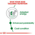Load image into Gallery viewer, Royal Canin Mini Adult Dry Dog Food
