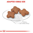 Load image into Gallery viewer, Royal Canin Mini Adult 8+
