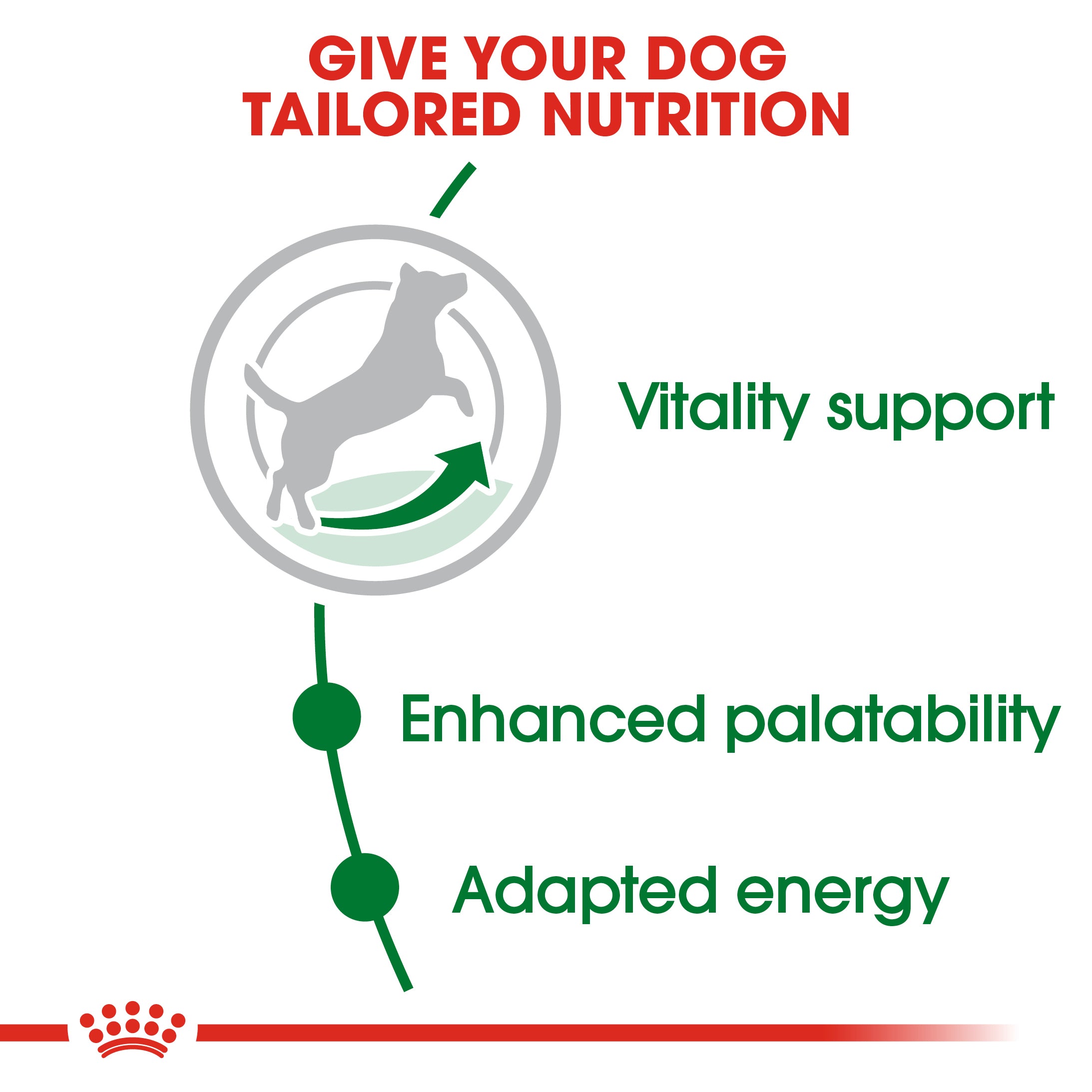 Royal Canin Mini Adult 8+