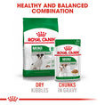 Load image into Gallery viewer, Royal Canin Mini Adult 8+
