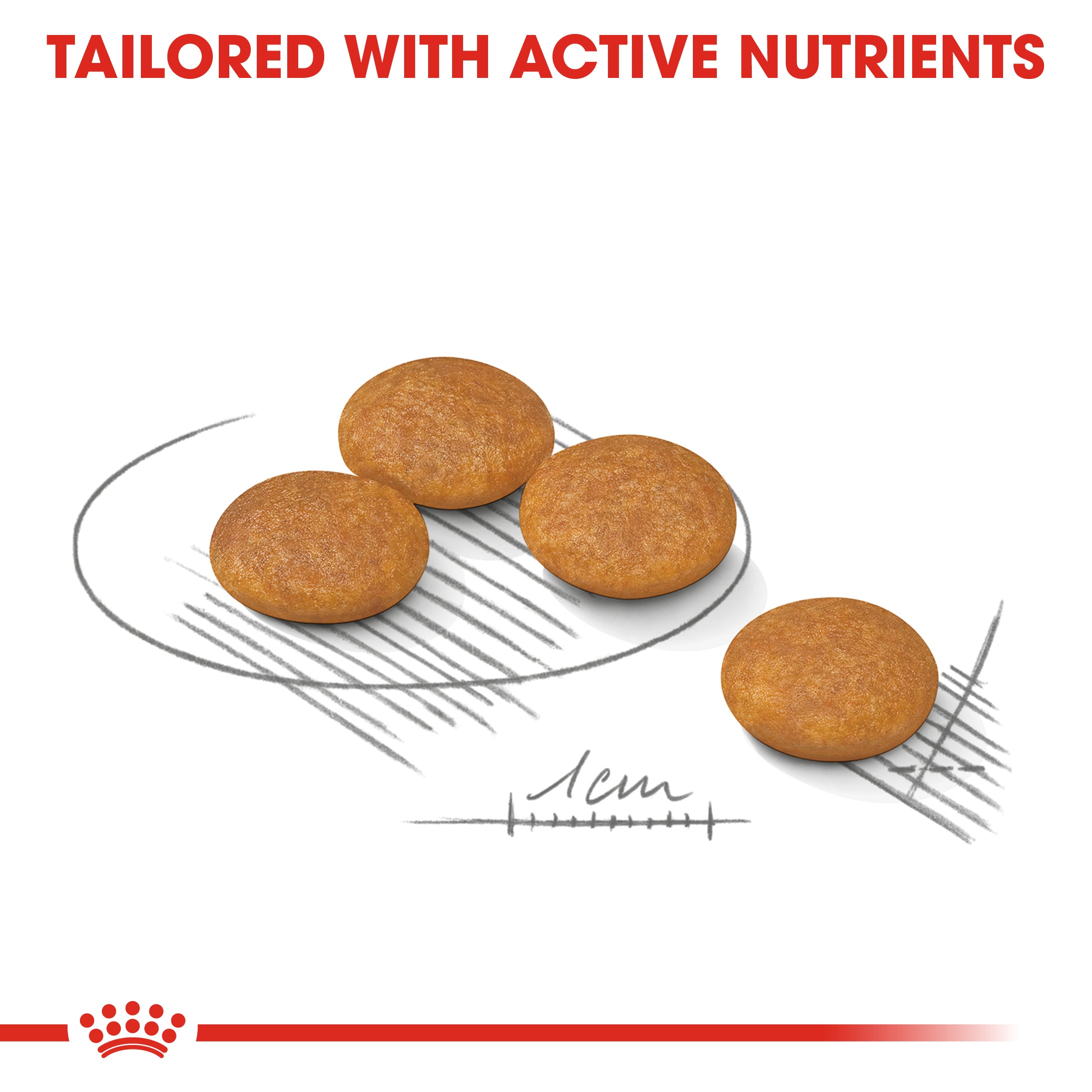 Royal Canin Dermacomfort Adult Dry Dog Food