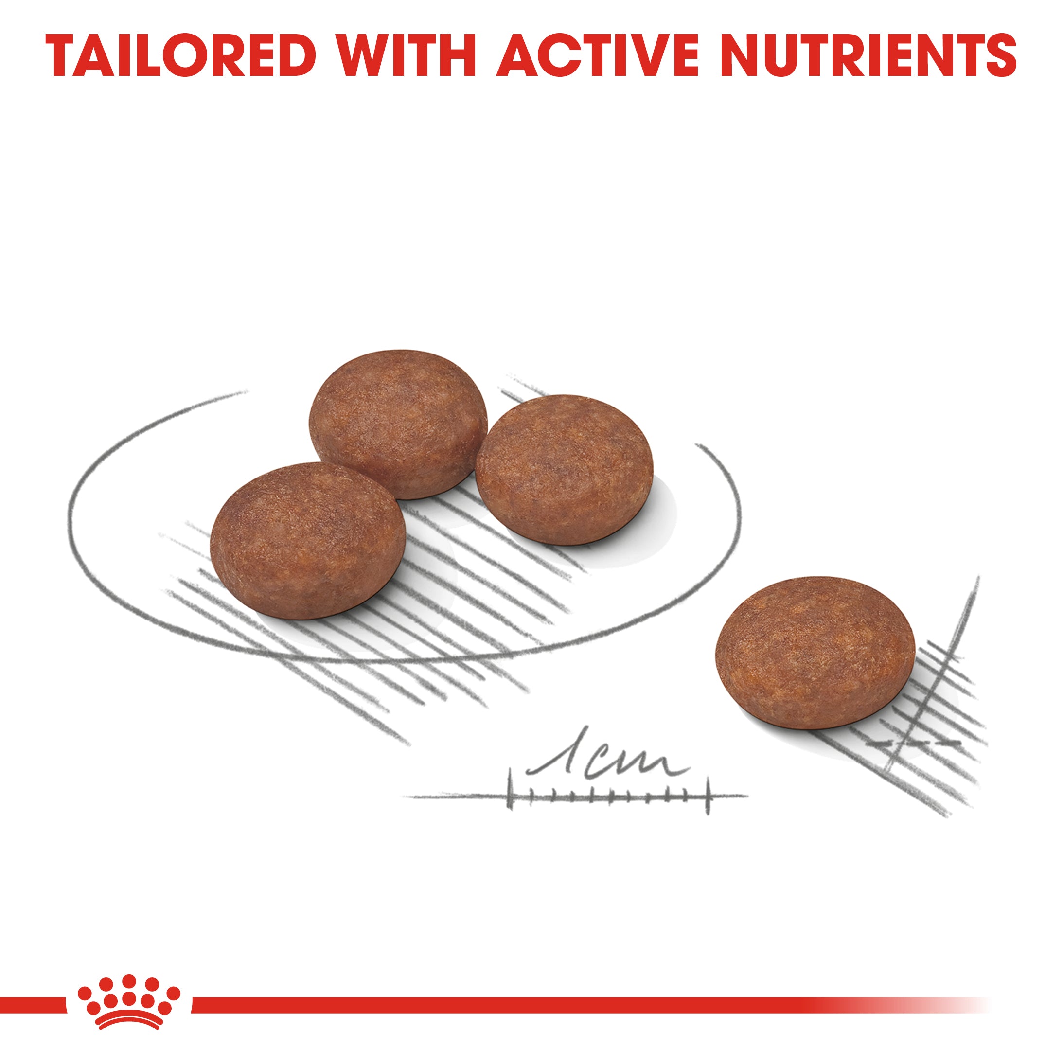 Royal Canin Digestive Care Adult Dry Dog Food