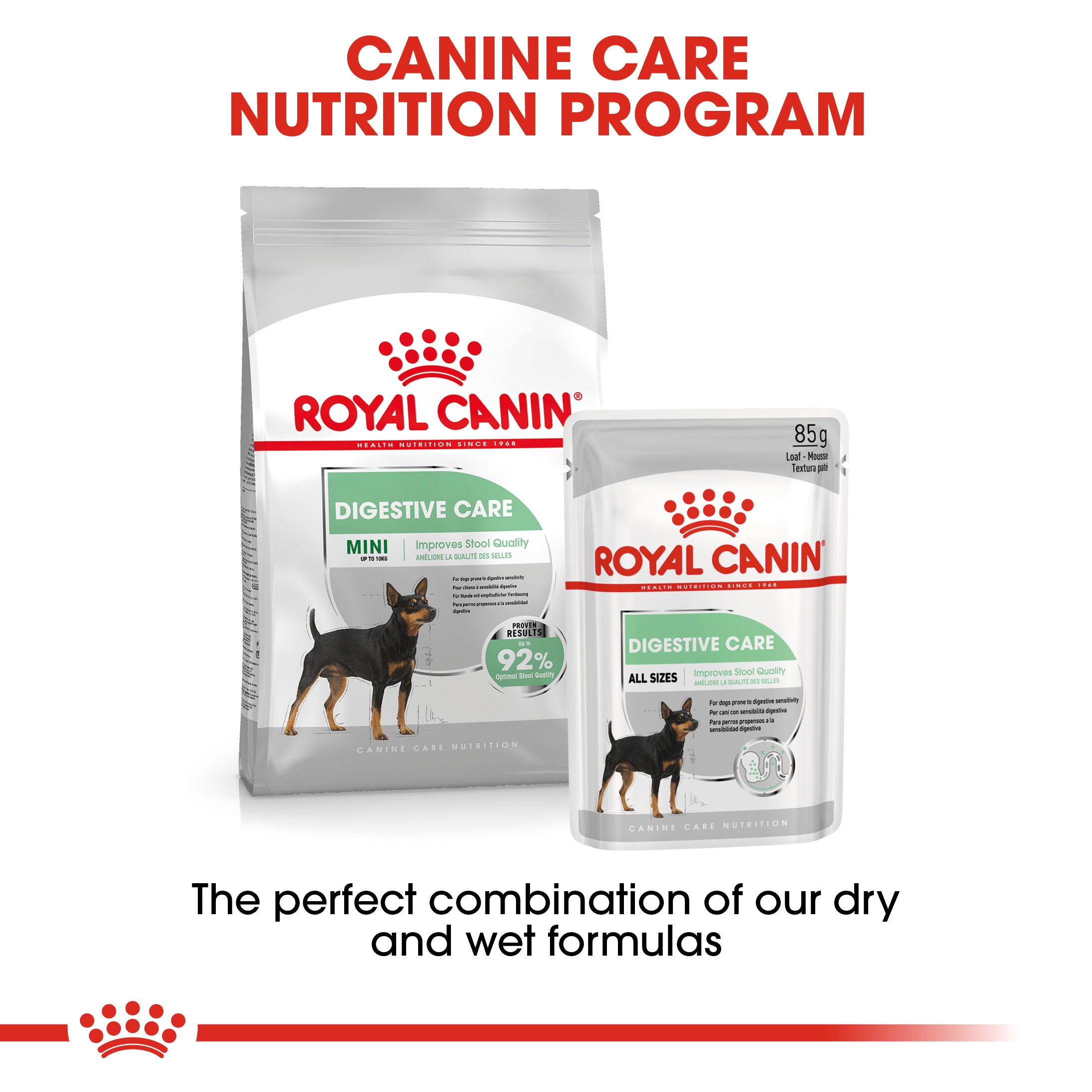 Royal Canin Digestive Care Adult Dry Dog Food