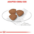 Load image into Gallery viewer, Royal Canin Mini Puppy Dry Dog Food
