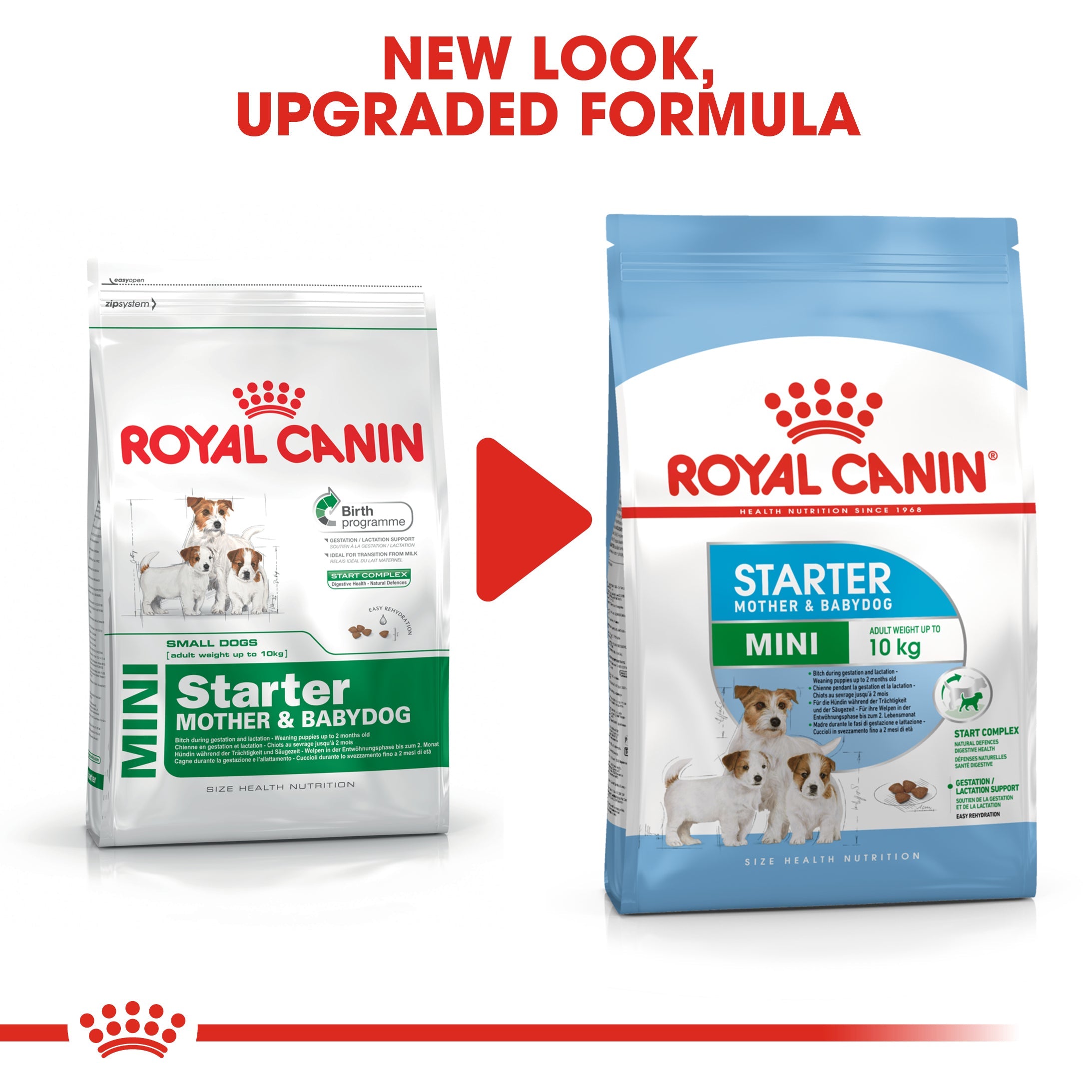 Royal Canin Mini Starter Mother & Babydog Adult and Puppy Dry Food