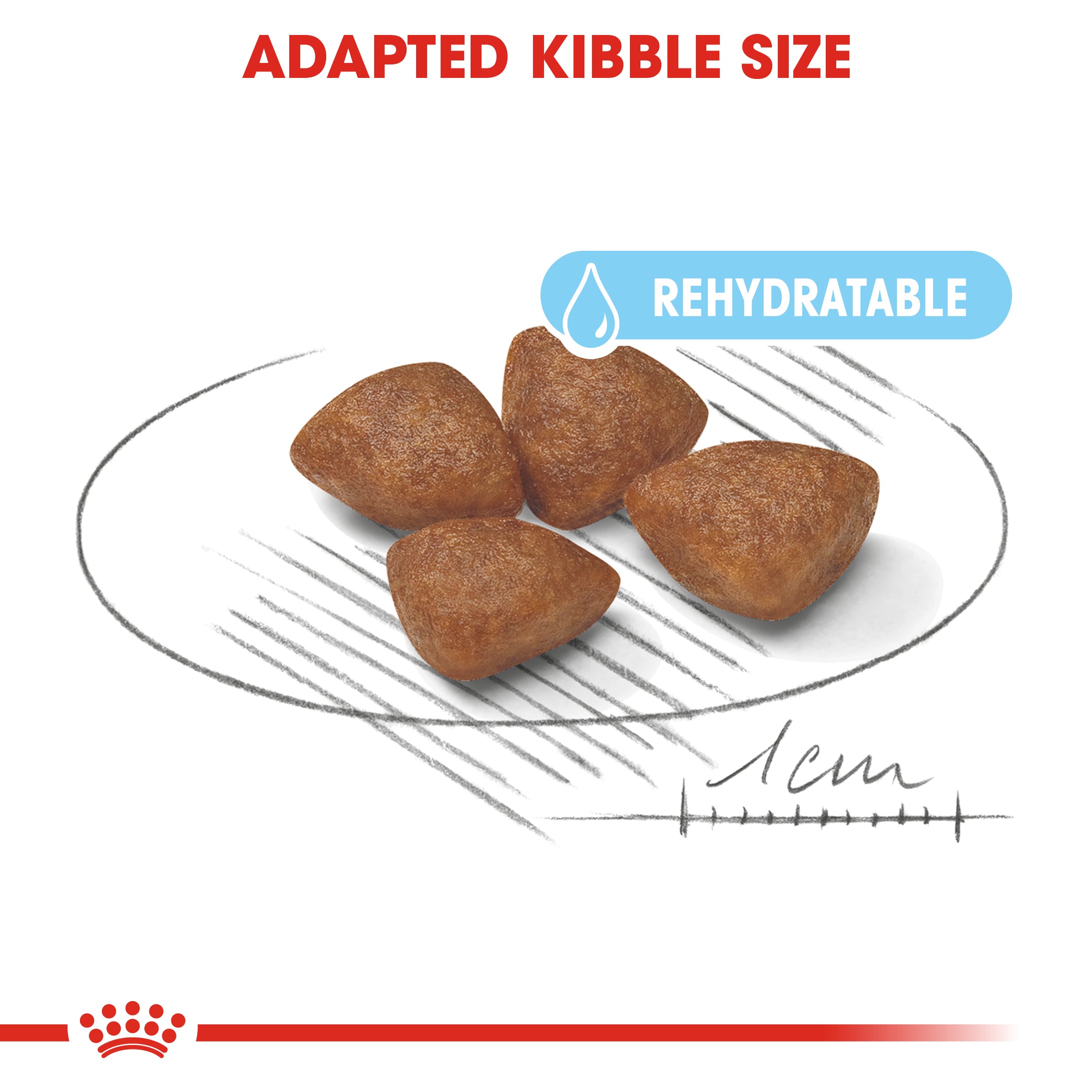 Royal Canin Mini Starter Mother & Babydog Adult and Puppy Dry Food