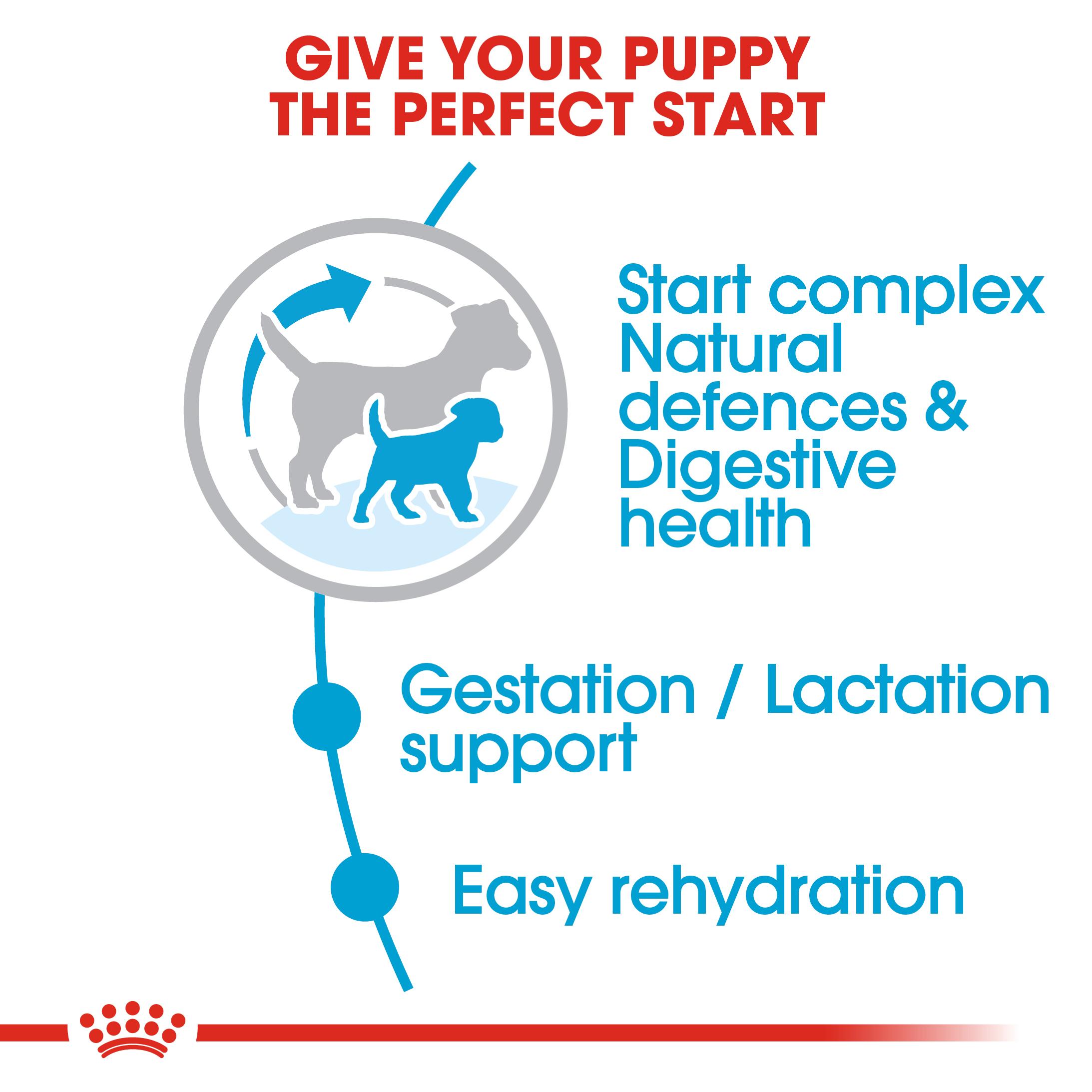 Royal Canin Mini Starter Mother & Babydog Adult and Puppy Dry Food