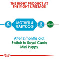Load image into Gallery viewer, Royal Canin Mini Starter Mother & Babydog Adult and Puppy Dry Food
