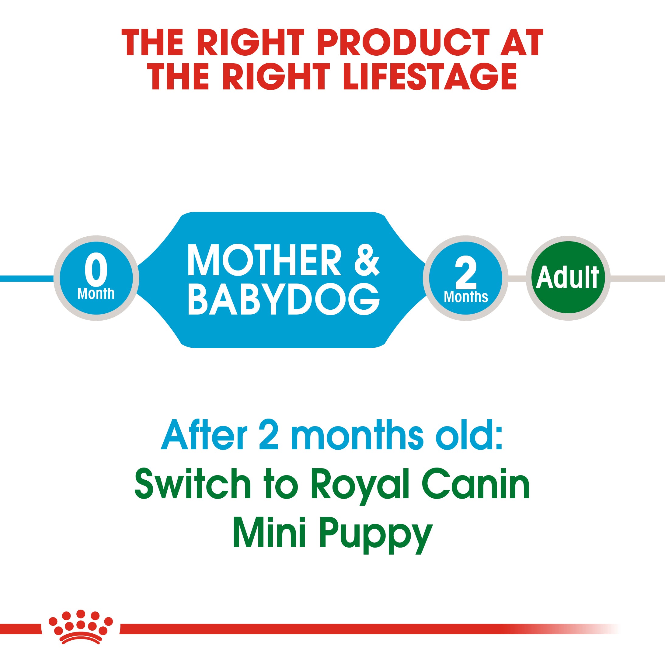 Royal Canin Mini Starter Mother & Babydog Adult and Puppy Dry Food