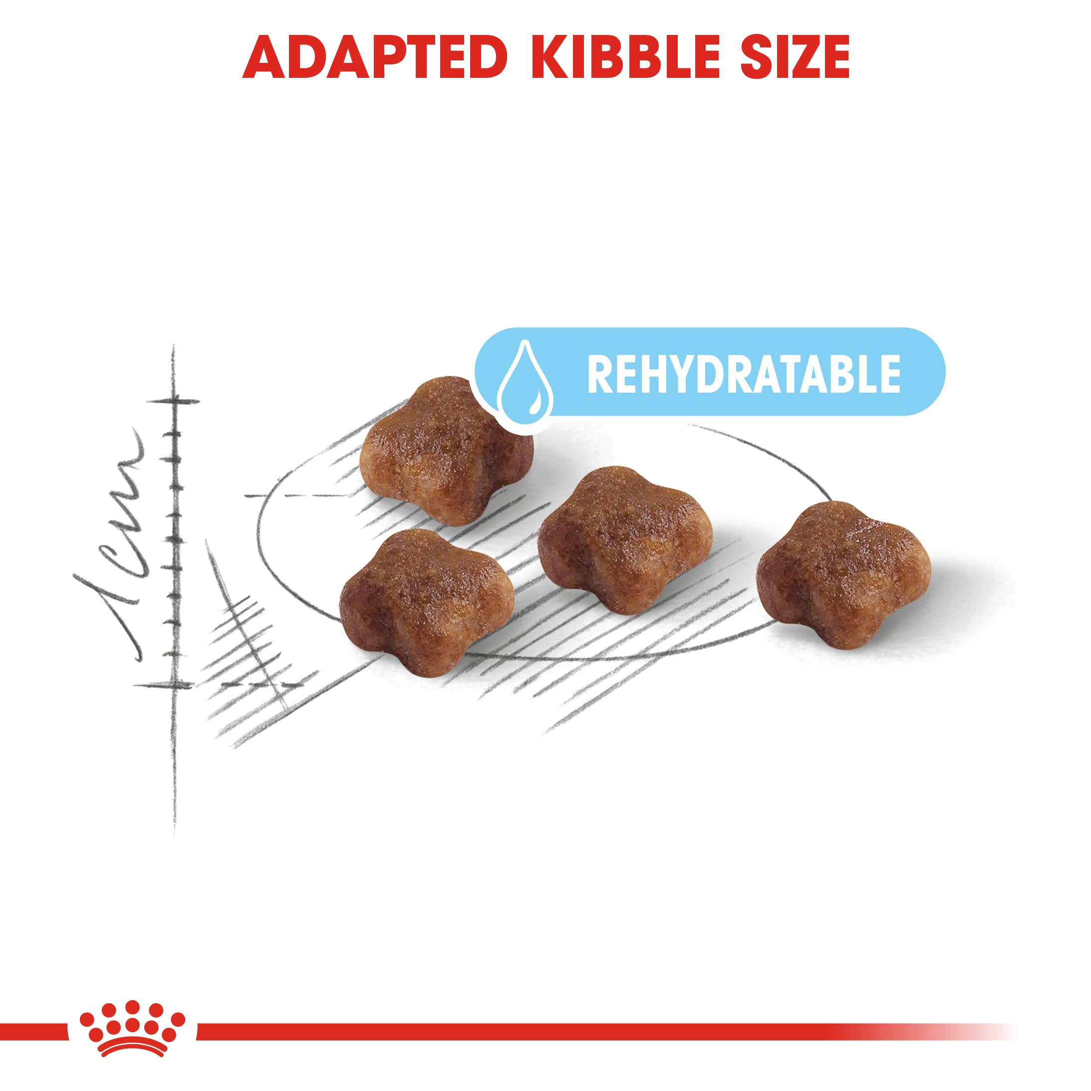 Royal Canin Mother & Babycat Adult & Kitten Dry Food
