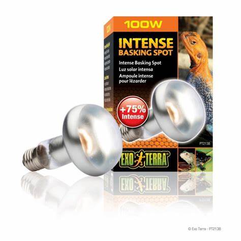 Exo Terra Sunglo Basking Spot Lamp Bulb Reptile Lightning