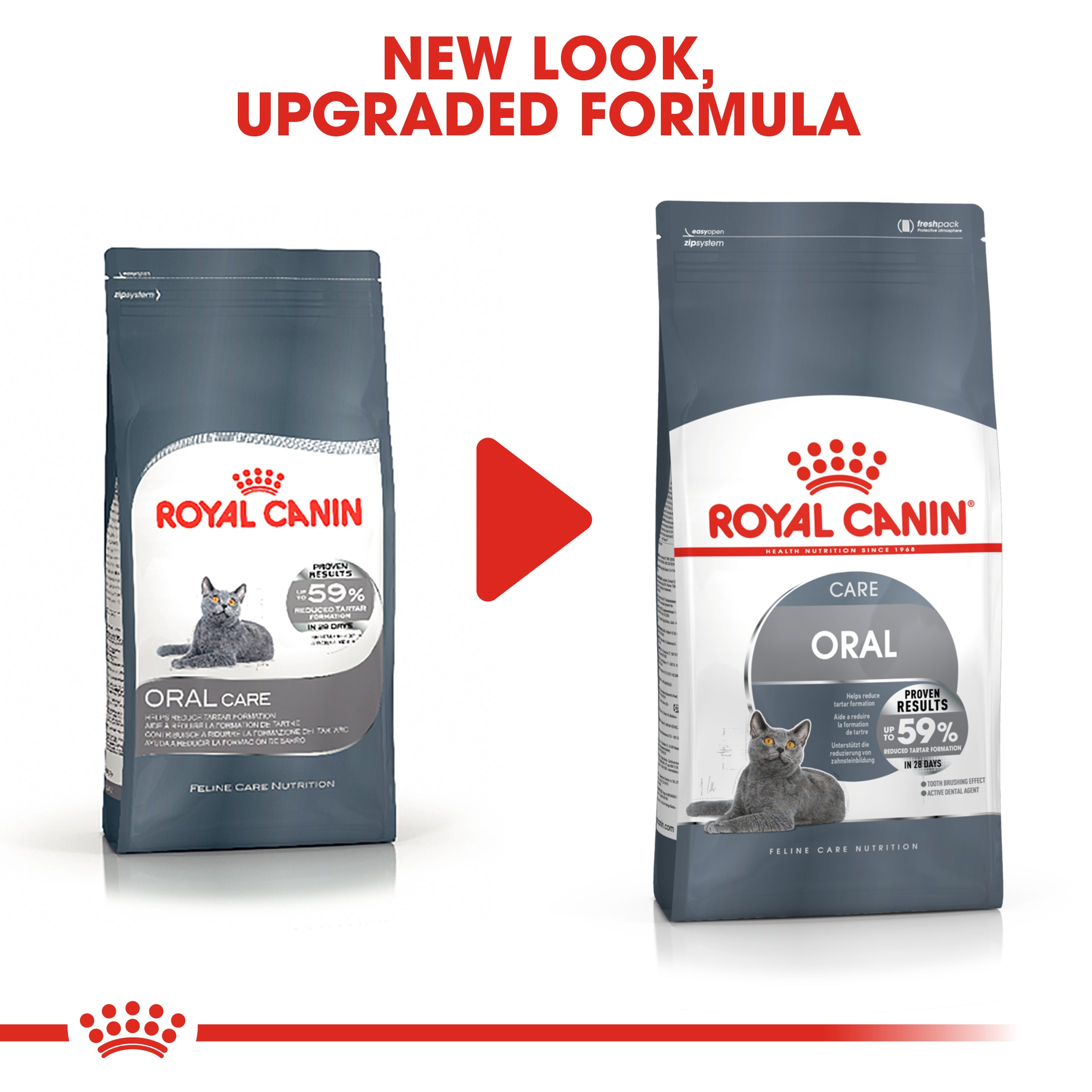 Royal Canin Dental Care Adult Dry Cat Food