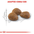 Load image into Gallery viewer, Royal Canin Outdoor 7+ Ageing Dry Cat Food
