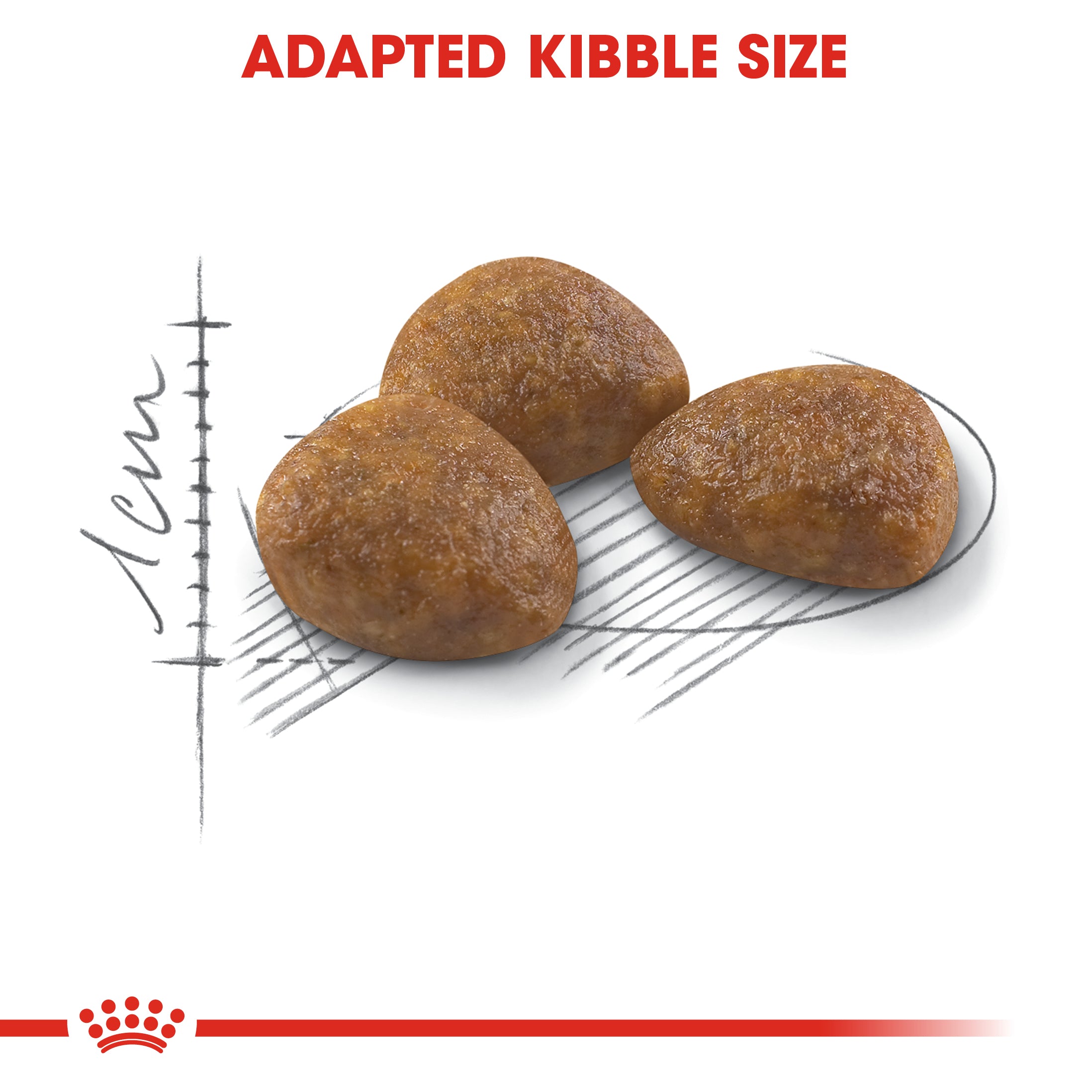 Royal Canin Outdoor 7+ Ageing Dry Cat Food