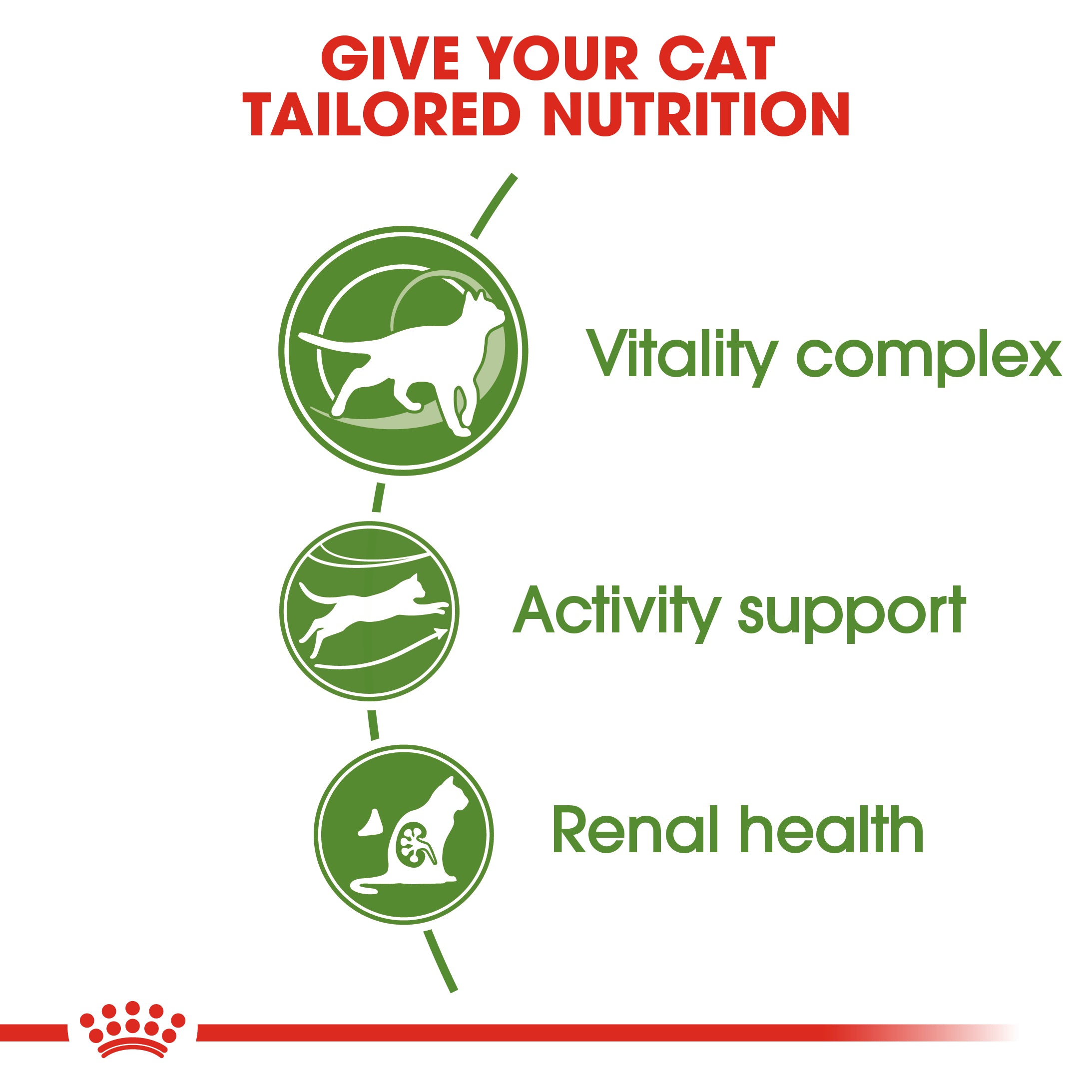 Royal Canin Outdoor 7+ Ageing Dry Cat Food