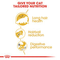 Load image into Gallery viewer, Royal Canin Persian Adult Dry Cat Food
