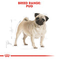 Load image into Gallery viewer, Royal Canin Pug Adult Dry Dog Food
