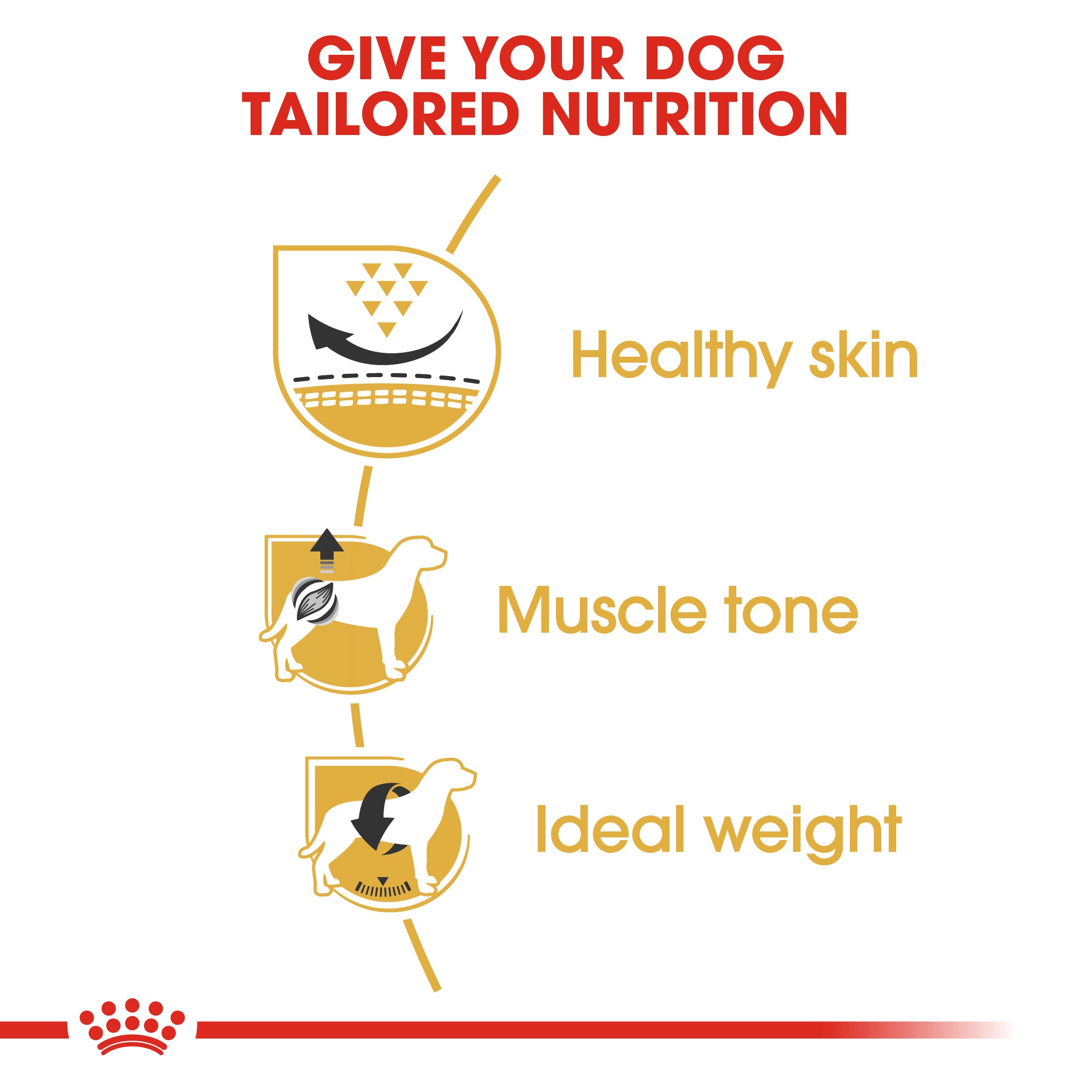 Royal Canin Pug Adult Dry Dog Food