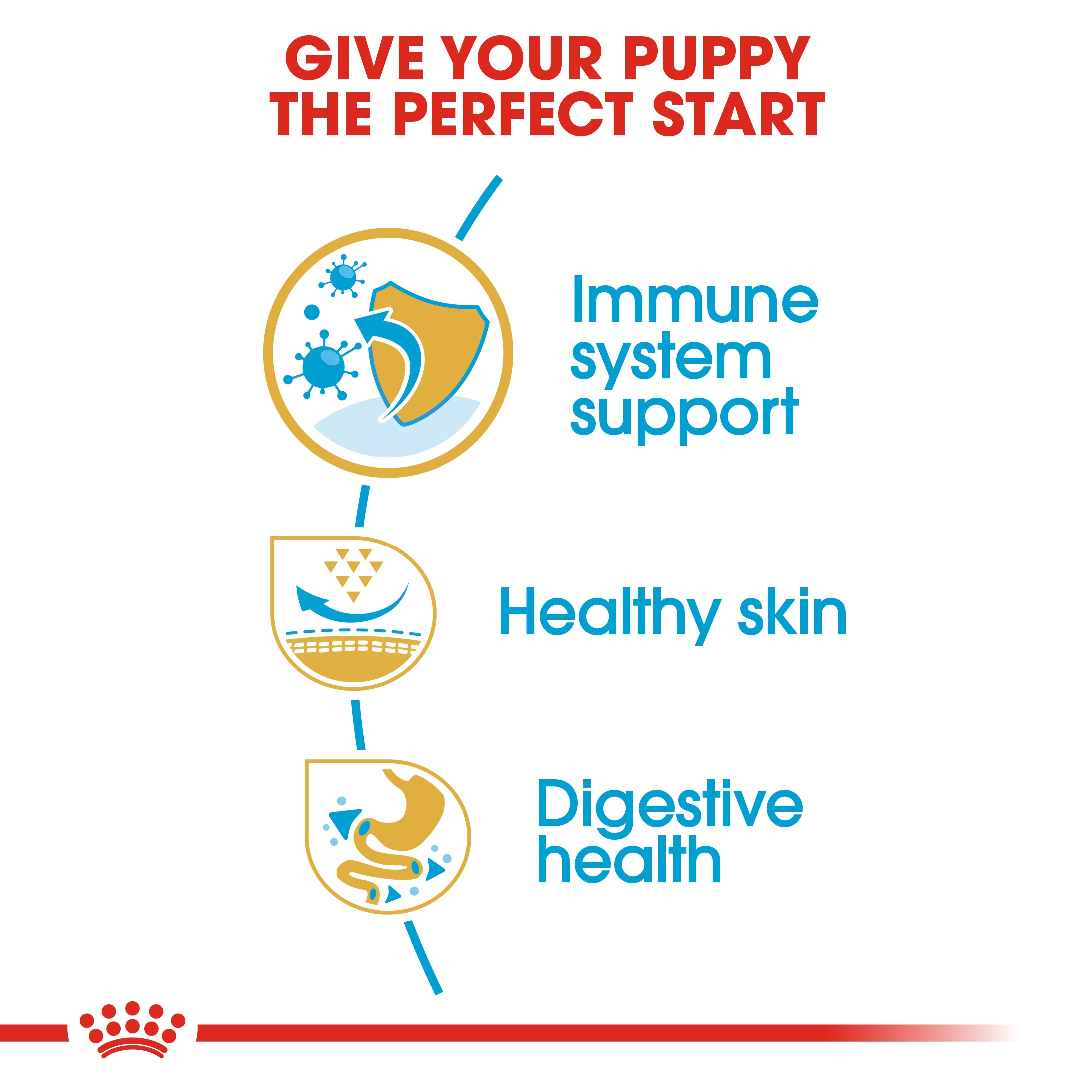 Royal Canin Pug Puppy Dry Dog Food