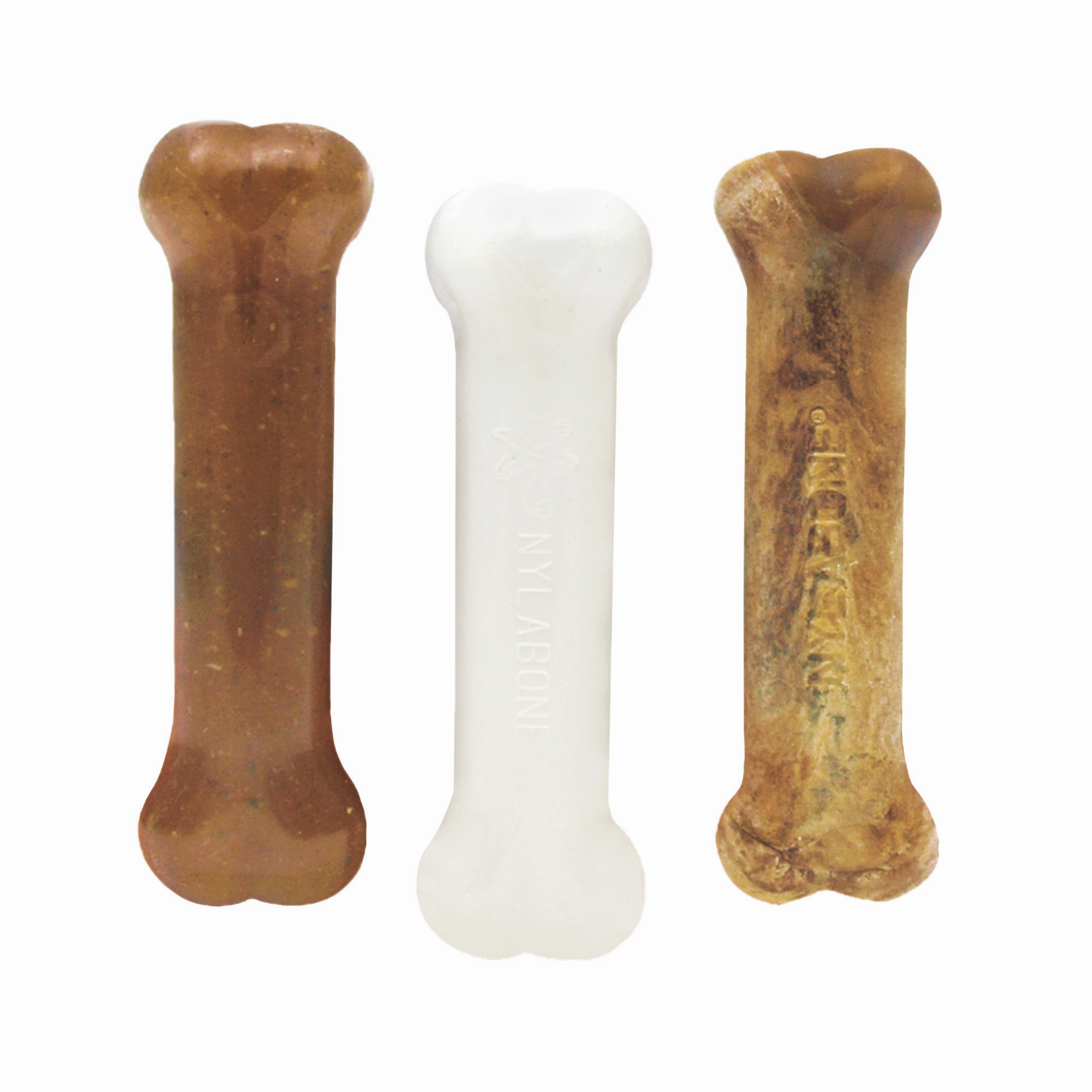 Nylabone Puppy Starter Kit