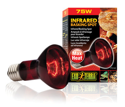 Exo Terra Heatglo Infrared Lamp R20