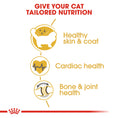 Load image into Gallery viewer, Royal Canin Ragdoll Adult Dry Cat Food
