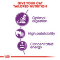 Load image into Gallery viewer, Royal Canin Sensible 33 Adult Dry Cat Food
