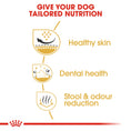 Load image into Gallery viewer, Royal Canin Shih Tzu Adult Dry Dog Food
