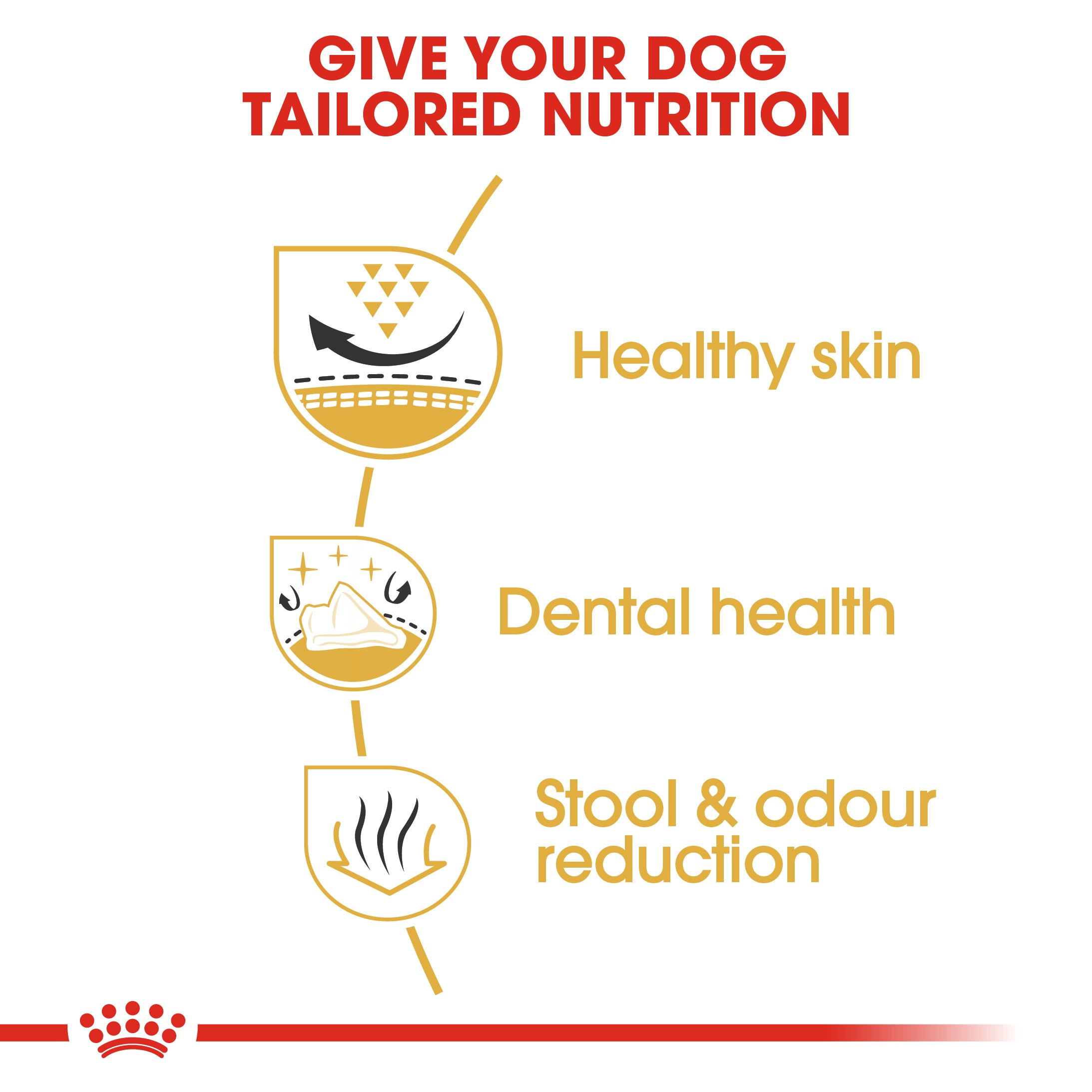 Royal Canin Shih Tzu Adult Dry Dog Food