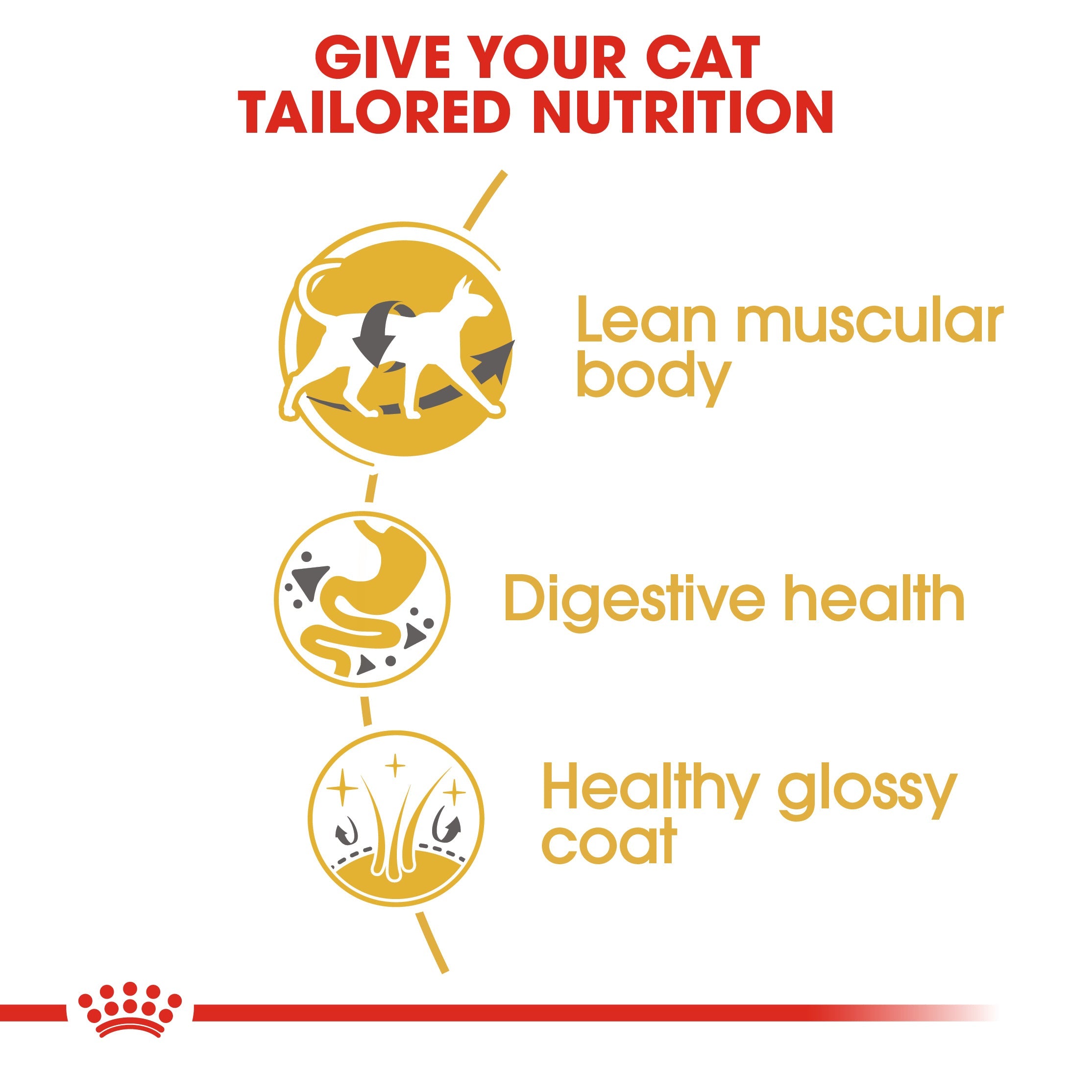 Royal Canin Siamese Adult Dry Cat Food