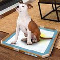 Load image into Gallery viewer, Simple Solution Training Pad Holder
