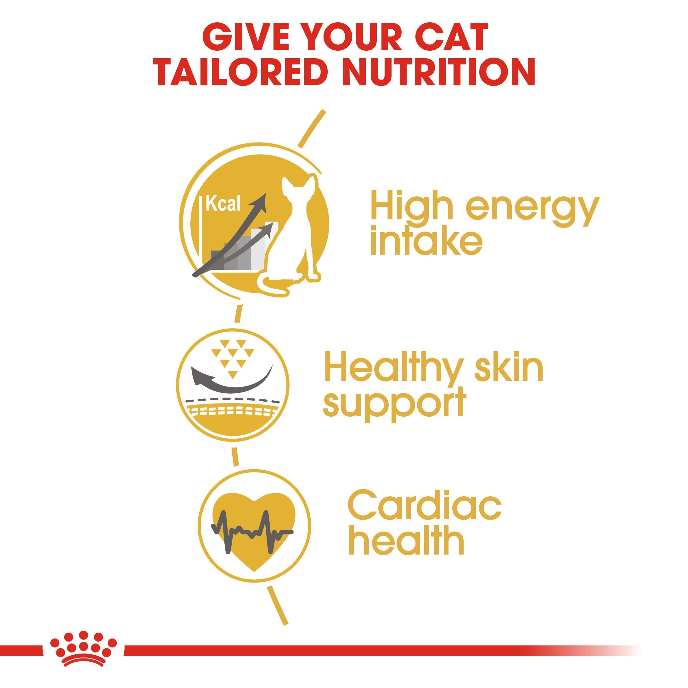 Royal Canin Sphynx Cat Adult Dry Cat Food