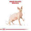Load image into Gallery viewer, Royal Canin Sphynx Cat Adult Dry Cat Food

