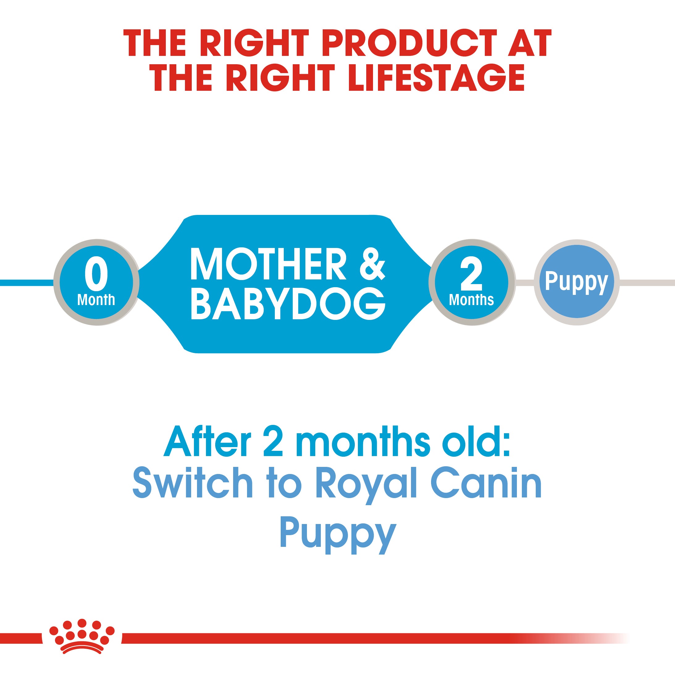 Royal Canin Starter Mousse Mother & Babydog