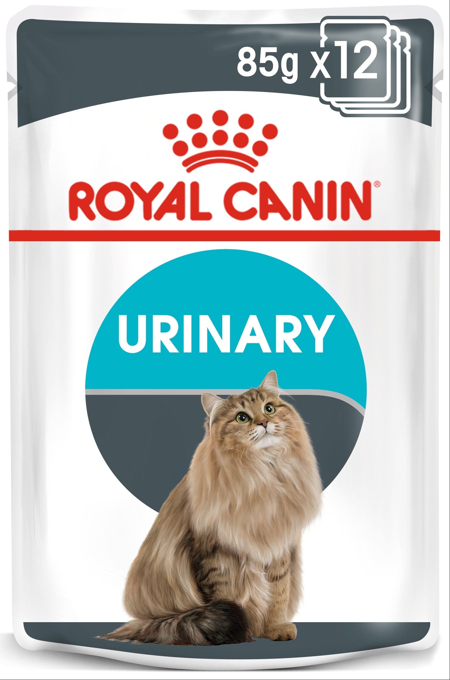 Royal Canin Care In Gravy Adult Wet Cat Food