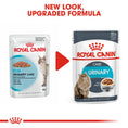 Load image into Gallery viewer, Royal Canin Care In Gravy Adult Wet Cat Food
