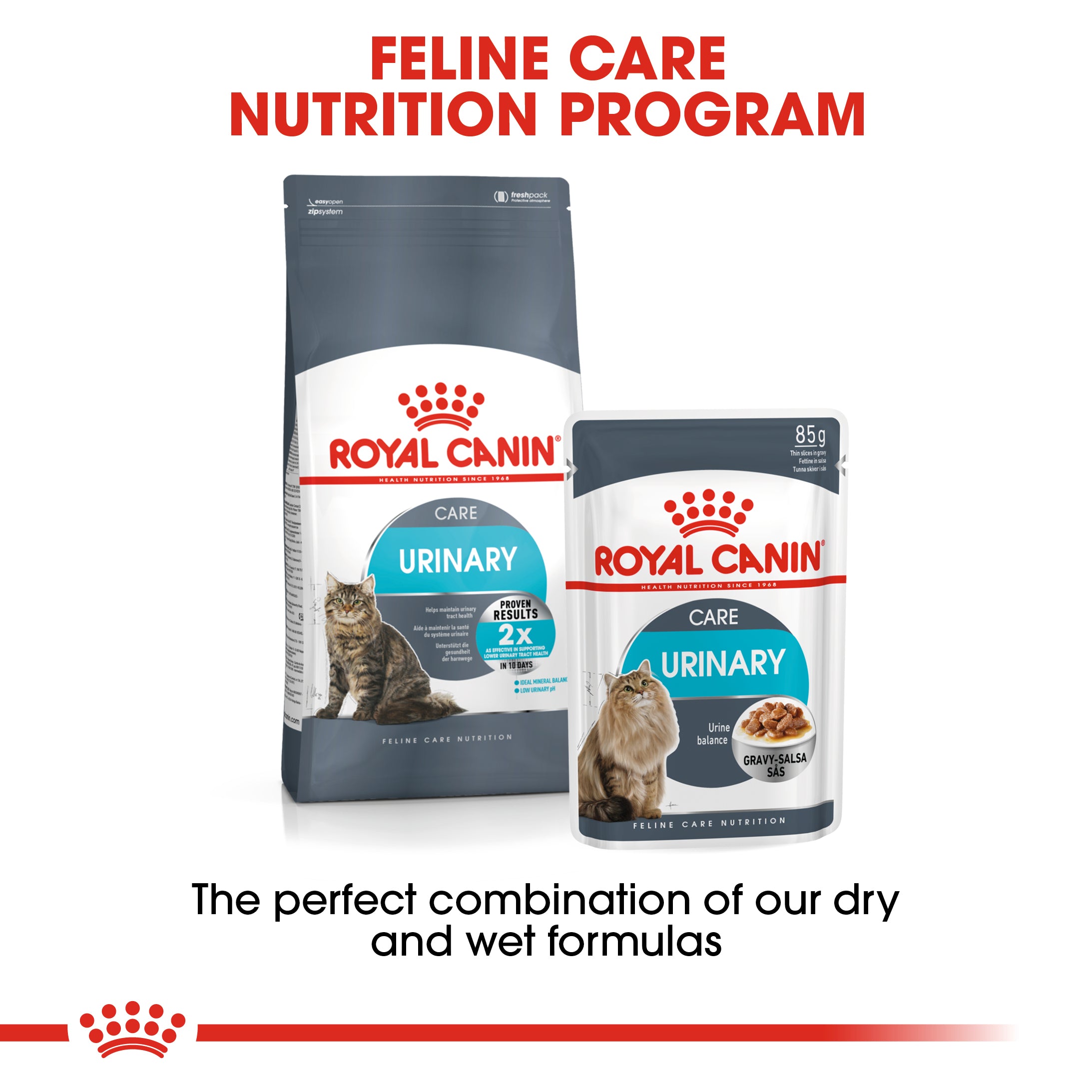 Royal Canin Care In Gravy Adult Wet Cat Food